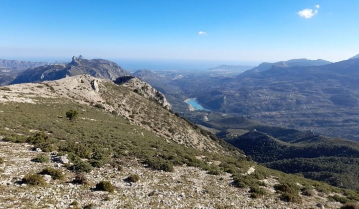 Mallada de llop view