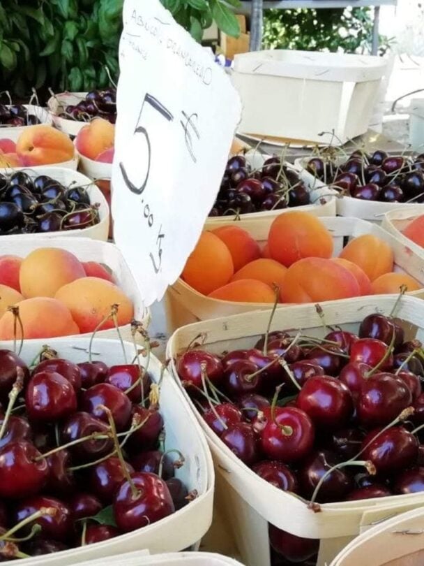 Provence cycling tour