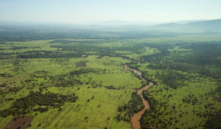 masai mara aerial