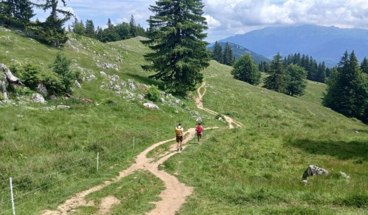 Meadow hike in Romania