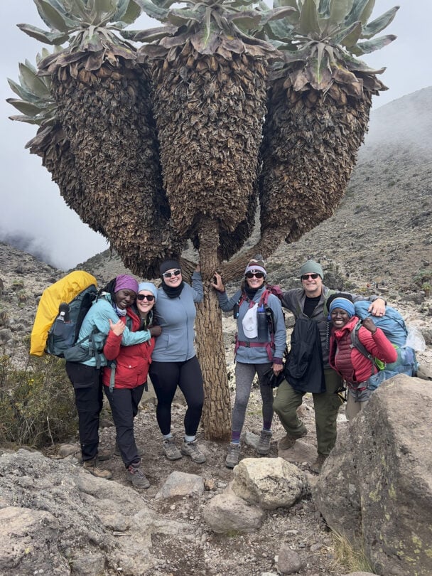 Kilimanjaro trek Lemosho route