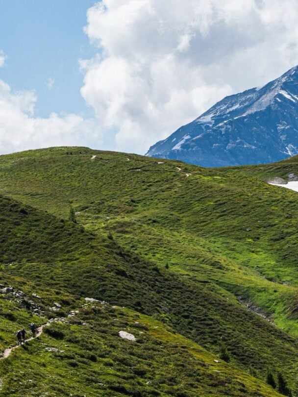 Mont Blanc trail running tour