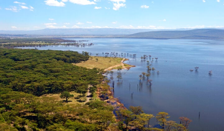 nakuru lake kenya