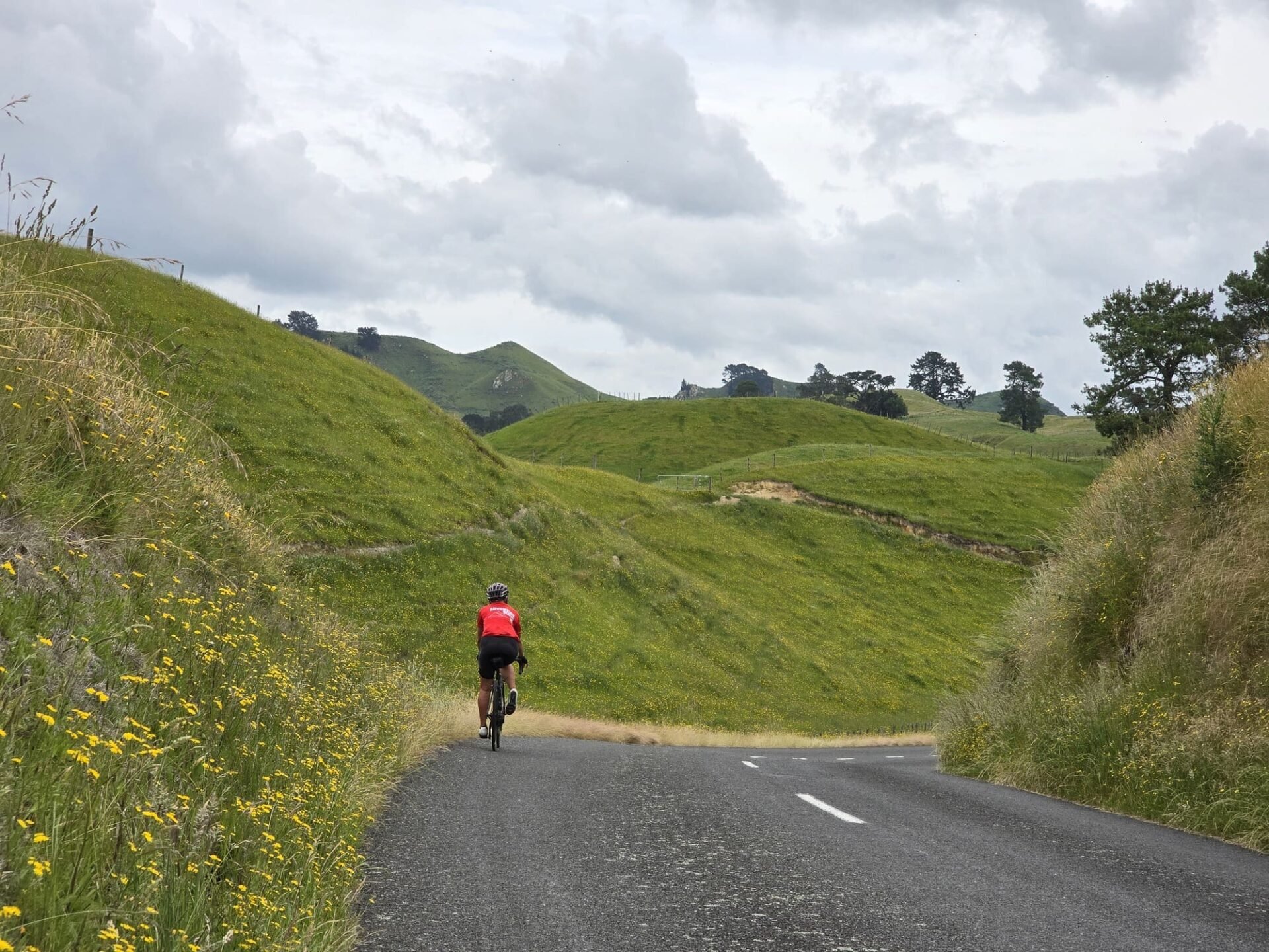 New Zealand cycling holiday