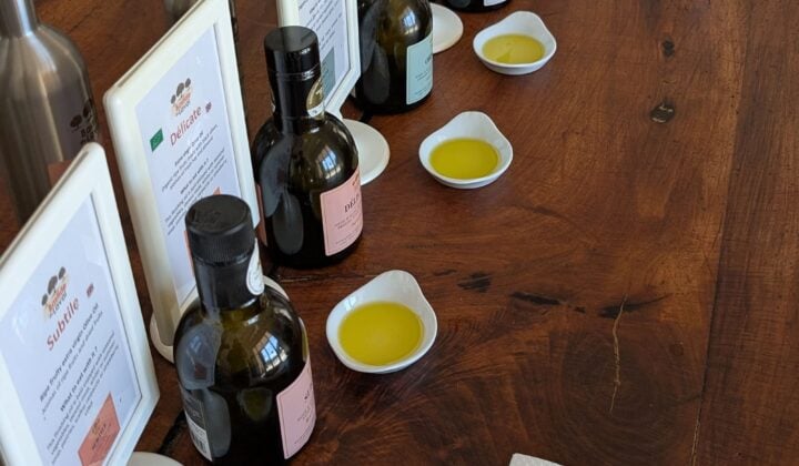 Olive oil tasting in Provence