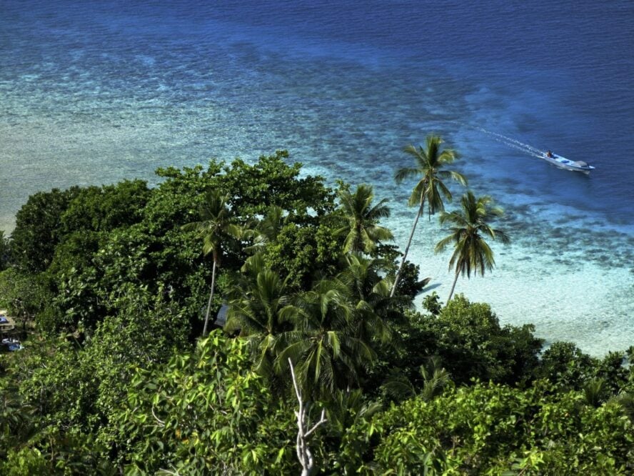 Palms and boats in Raja Ampat