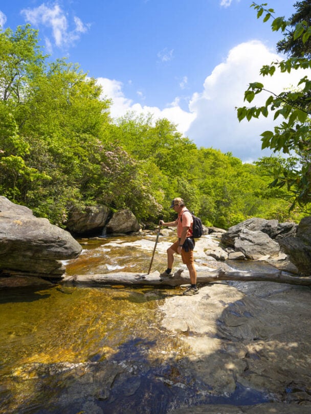 Pisgah national forest backpacking