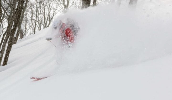 Powder skier speedy in Japan