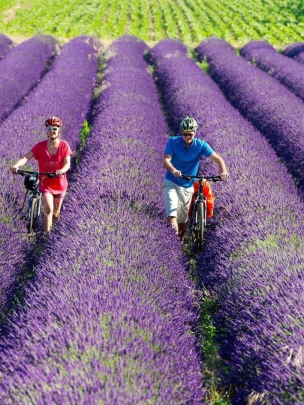 Provence cycling tour