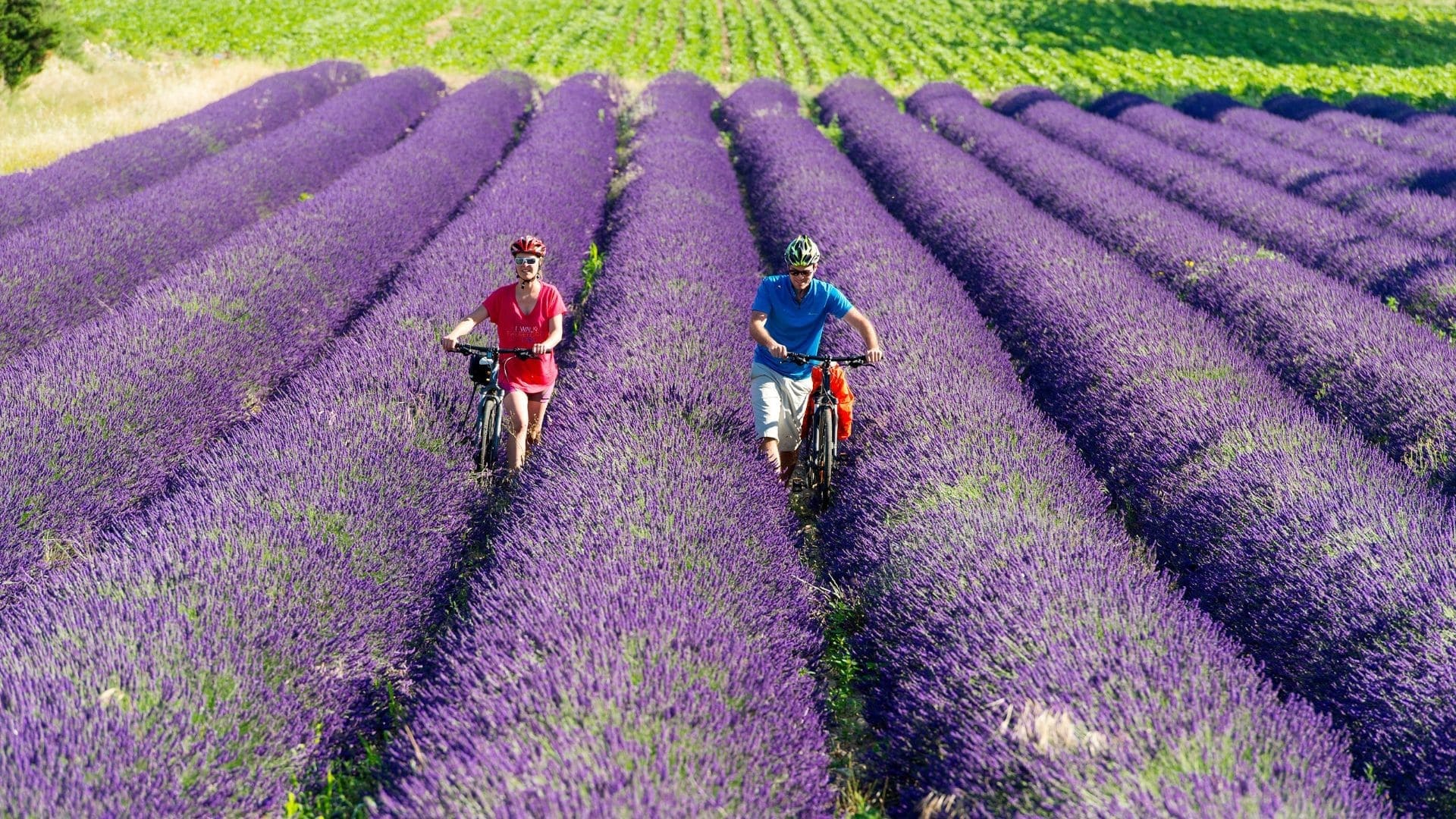 Provence cycling tour