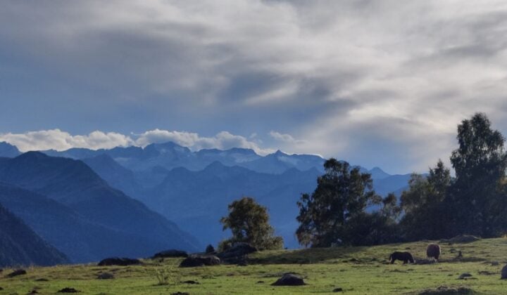 Pyrenees landscape