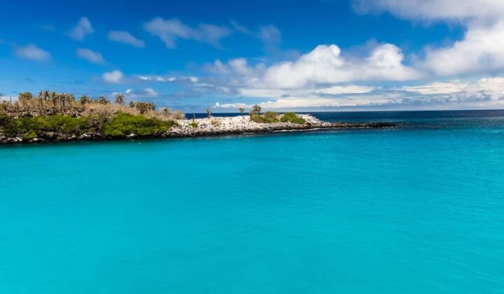 Santa Fe in Galapagos