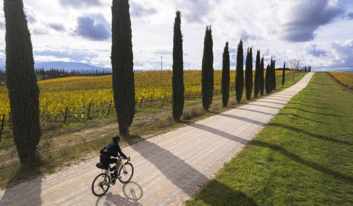 Siena cypress biker