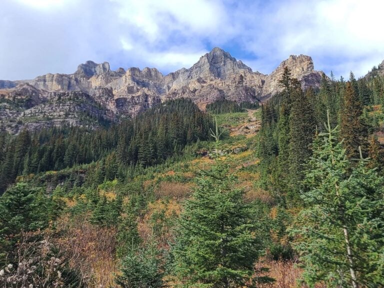 Six glaciers hike
