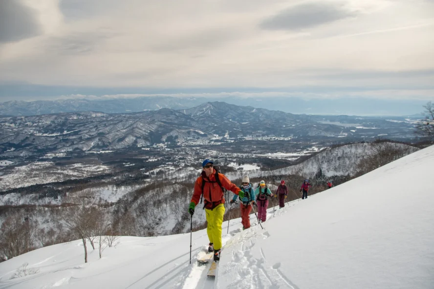 Skinning in Japan