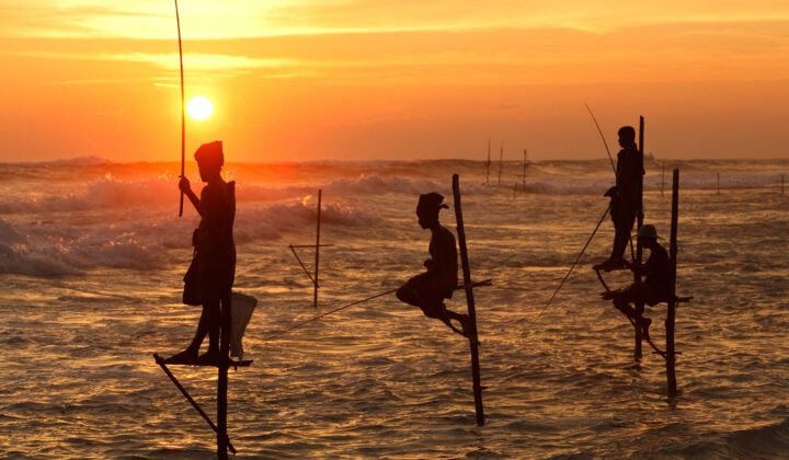 Stilt Fishing Sri Lanka