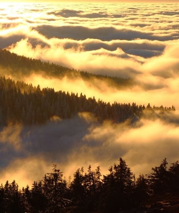 bike park czech republic