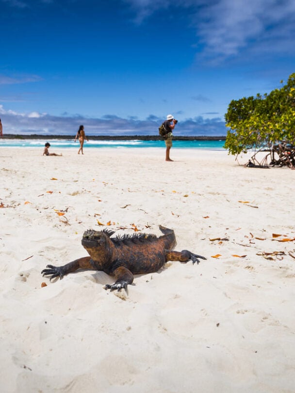 Galapagos island hopping