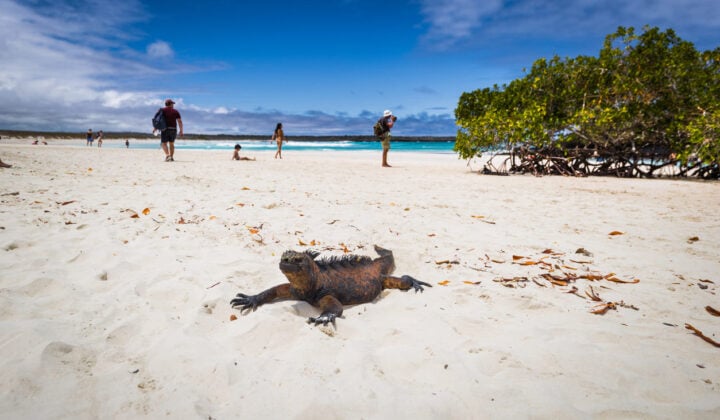 Tortuga Bay