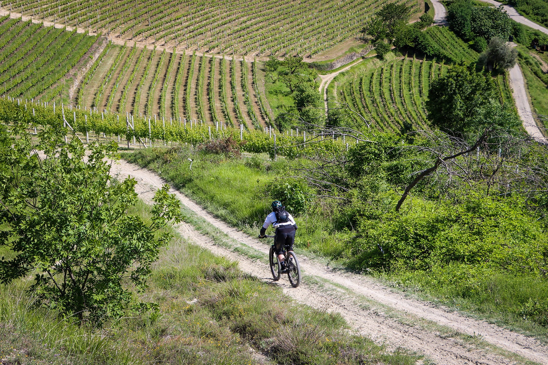 Tour Langhe e bike