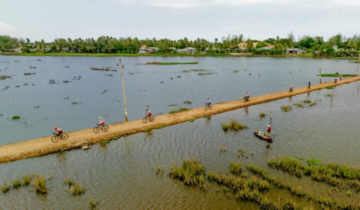 Vietnam rice field