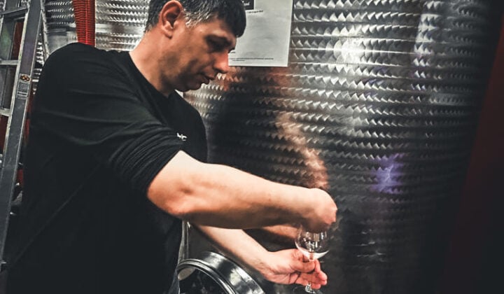 Wine tasting cellar