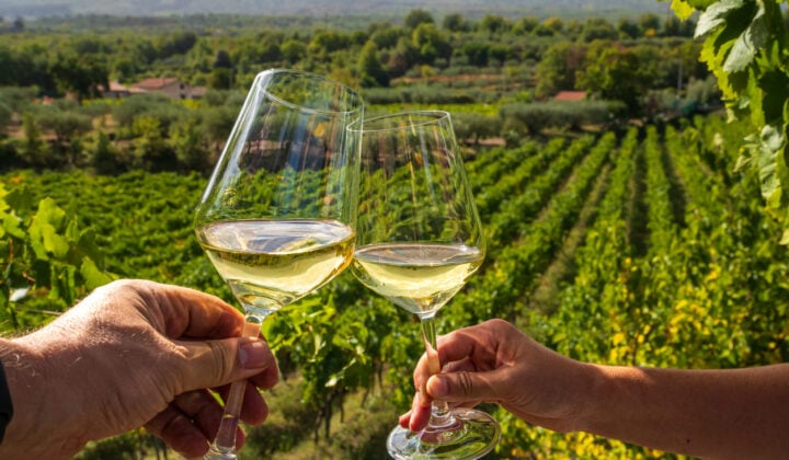 Wine tasting in Italy