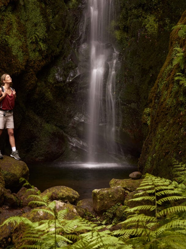 Self guided walking holidays in Madeira