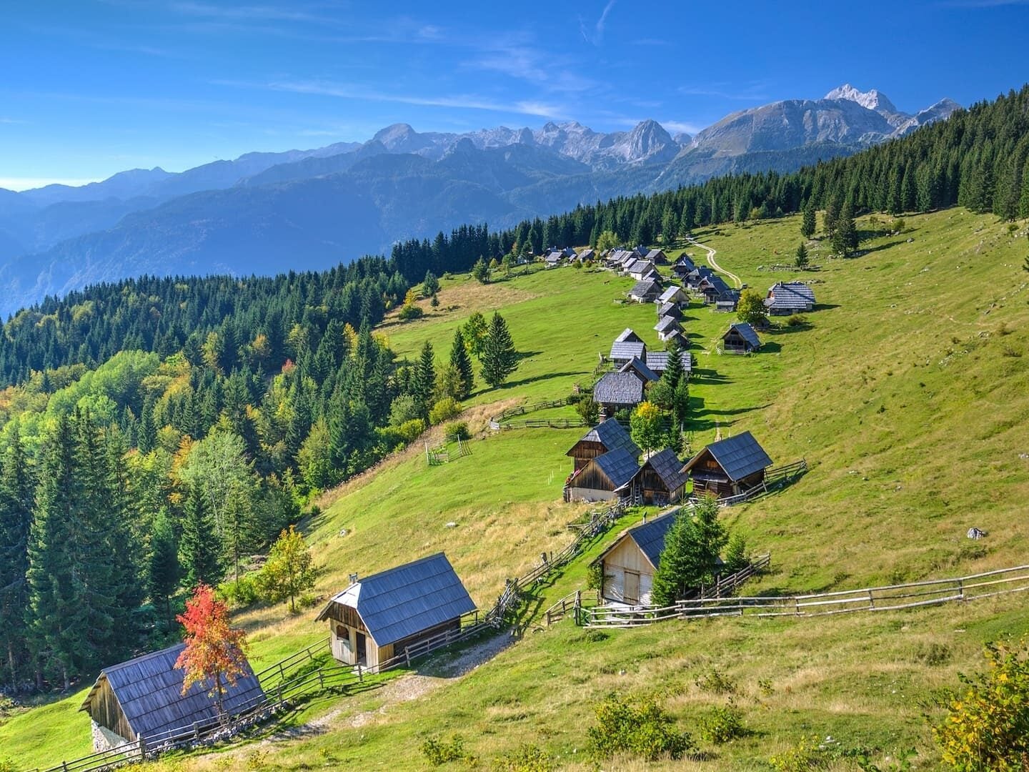 Zajamniki village Pokljuka