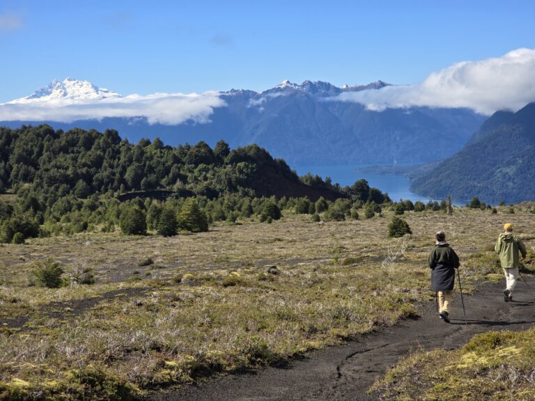 desolacion path patagonia
