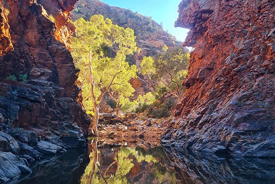 larapinta serpentine gorge
