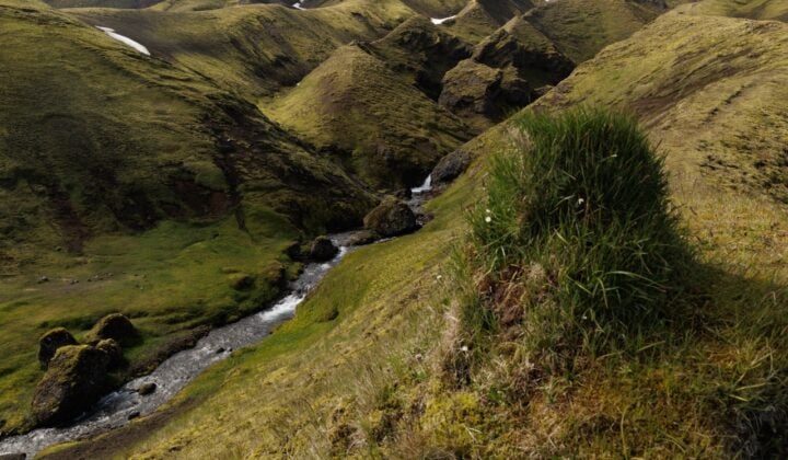 lush highlands of iceland