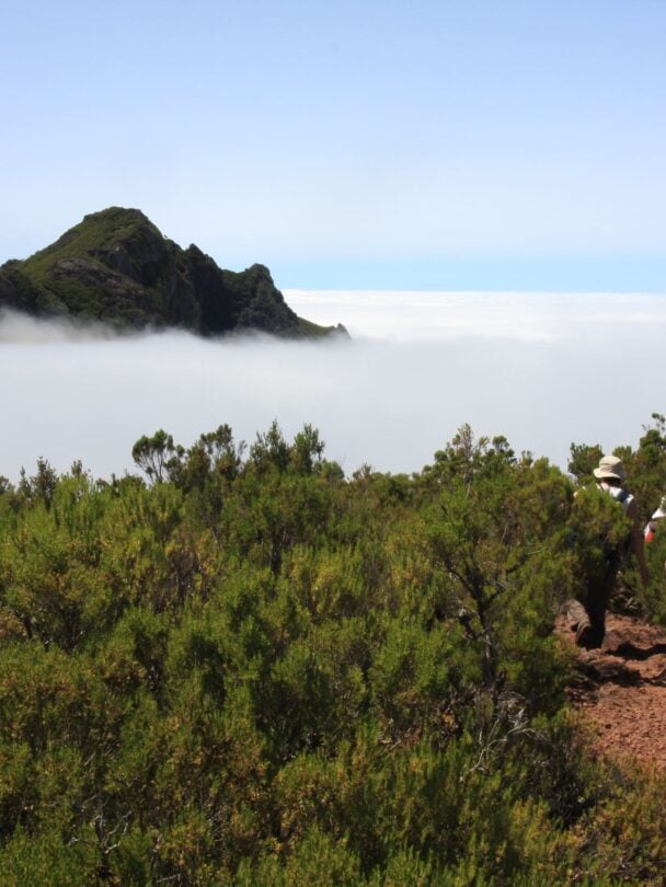 Self guided walking holidays in Madeira
