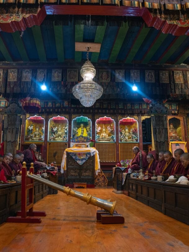 Mountain biking tour in Nepal