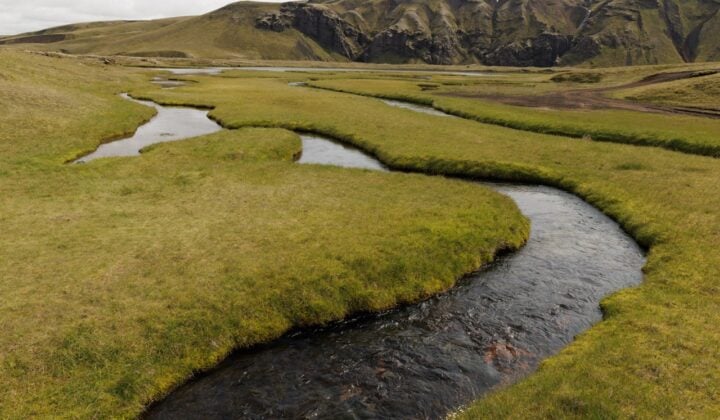 river iceland lush