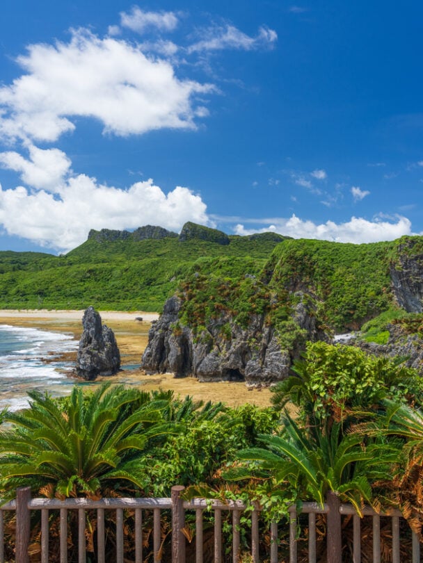 four cyclists okinawa