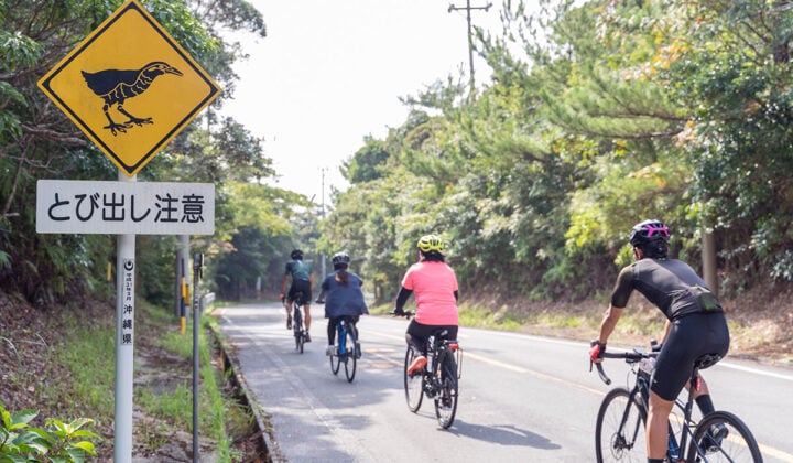 cycling okinawa views