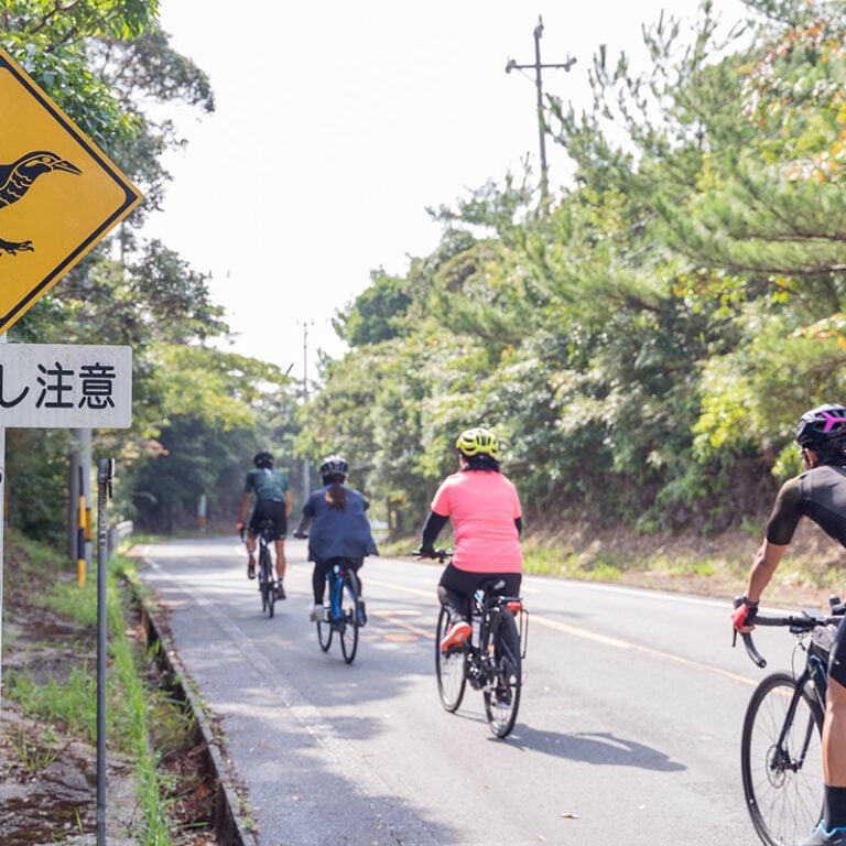 cycling okinawa views