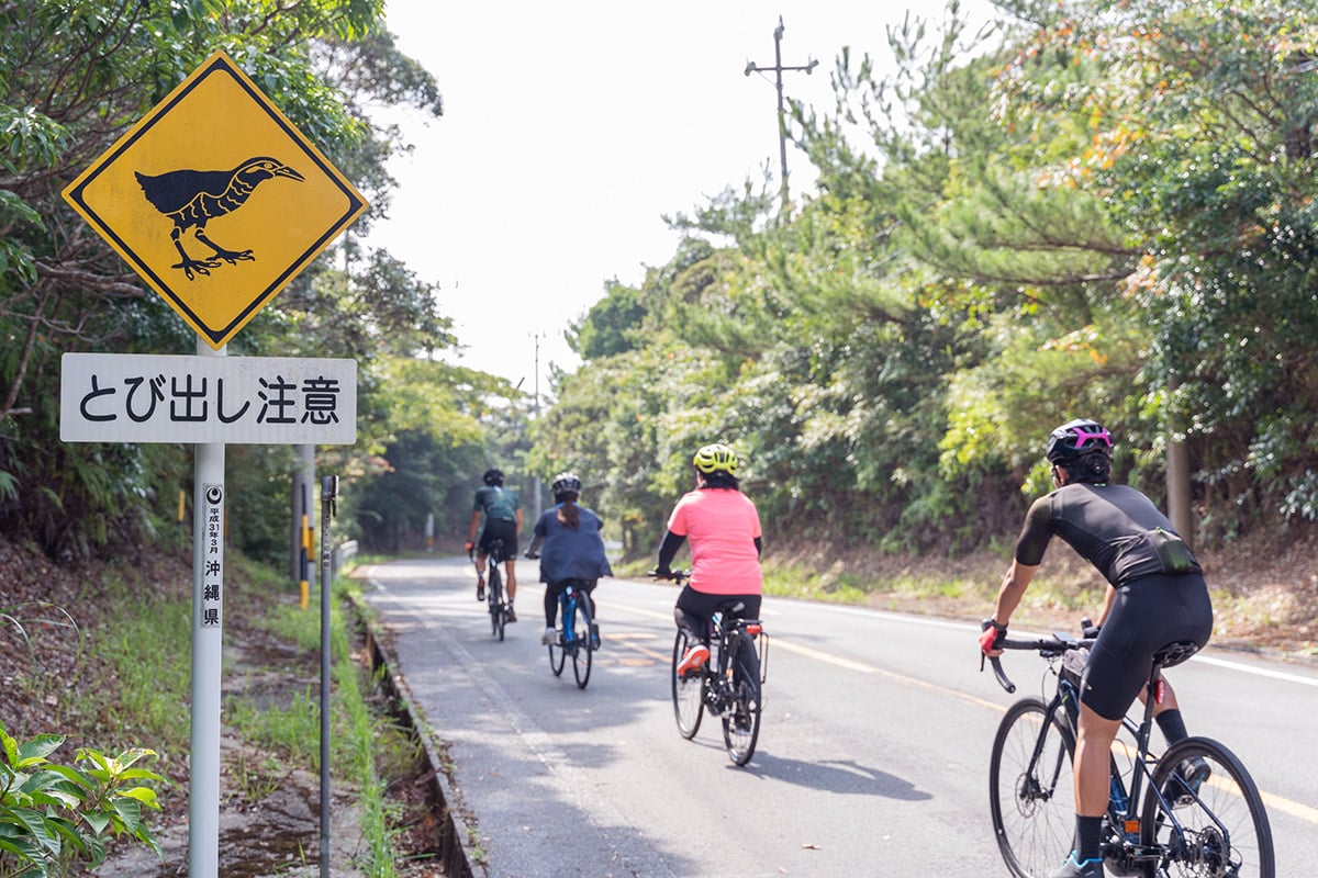 cycling okinawa views