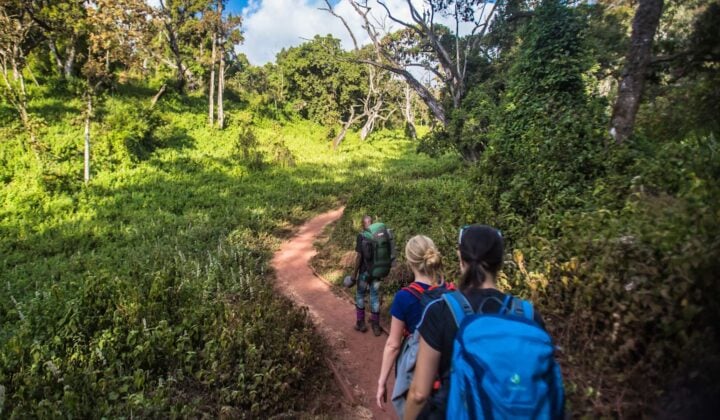 descending mountain kili
