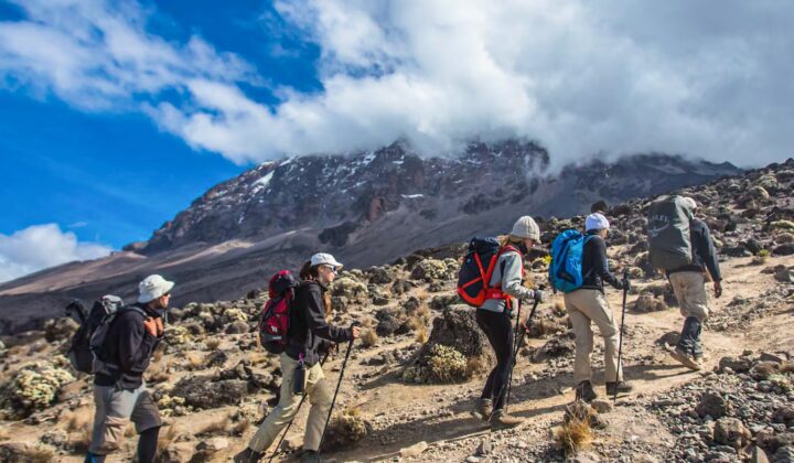 hike alpine desert kili