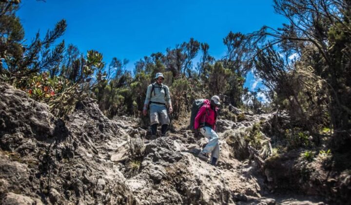 last day mountain kili