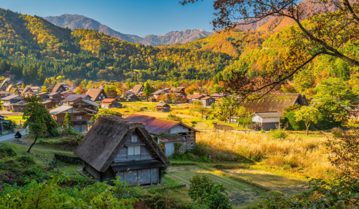 typical houses shirakawago
