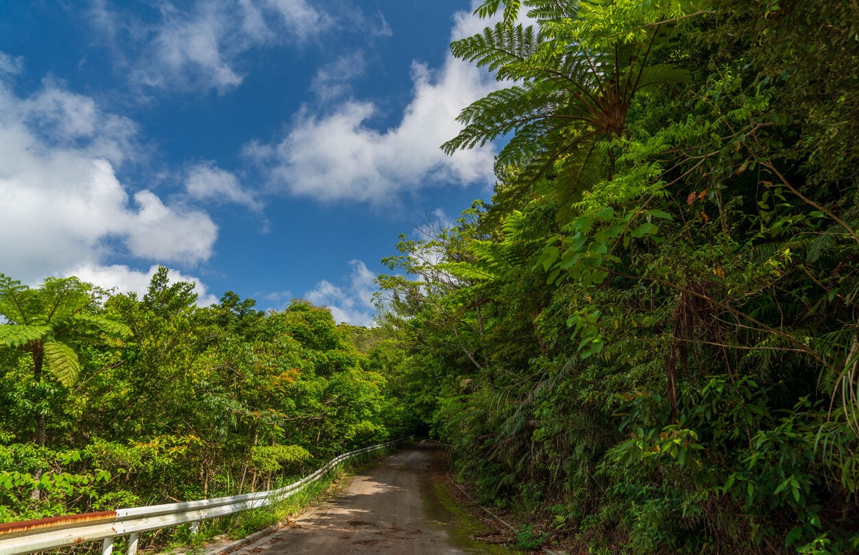 yanbaru np okinawa road