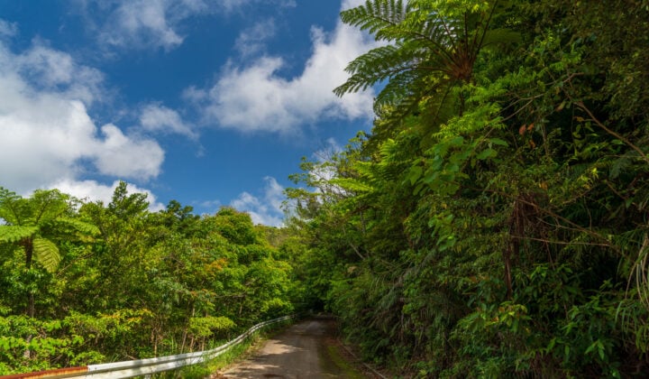 yanbaru np okinawa road