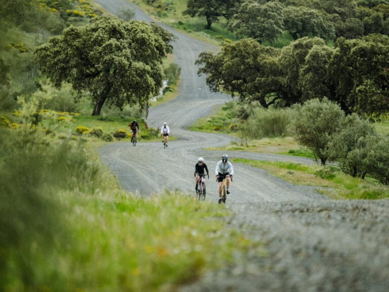 andalusia wiggly roads