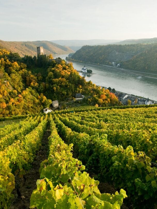 rhine moselle river cruise ride