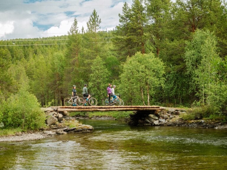 bridge norway