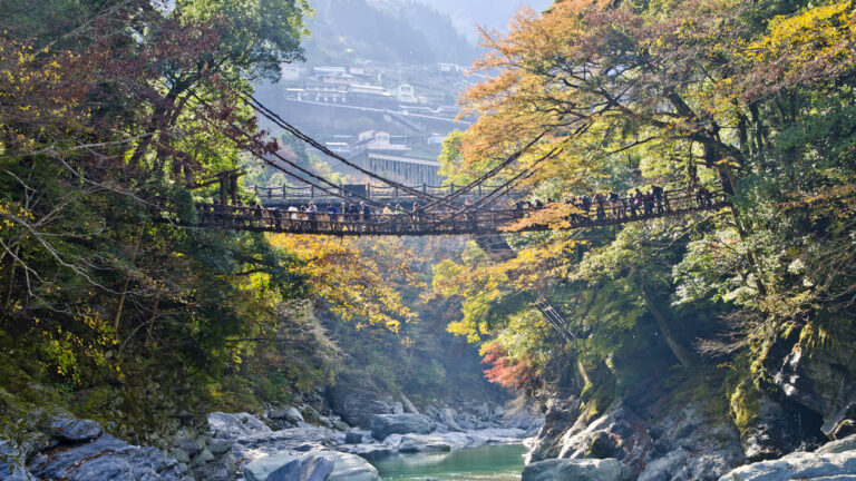 【mountain soul】bikyaku『美脚』 Shikoku Cycling: A Local Guide's Six-Day Island Route