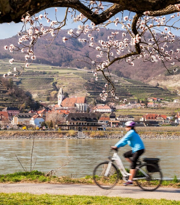 danube river cruise bike